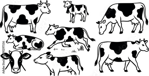 Black and white vector art of spotted dairy cows in various poses and angles with simple hand drawn style and isolated white background