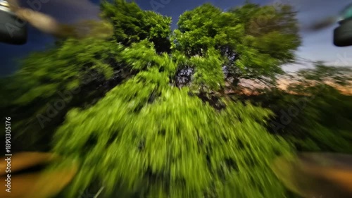 Wallpaper Mural Sweeping aerial drone shot traveling slowly forward above a long, deserted road leading to a lone vibrant green tree standing isolated in the center lane at deep twilight evening, vibrant, green Torontodigital.ca