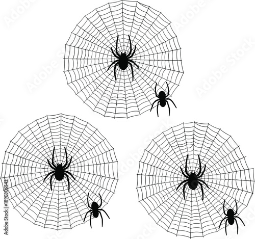 Spider web silhouette with creeping spiders for Halloween decoration, black cobweb set flat vector illustration, spooky insect net for architectural cad drawing