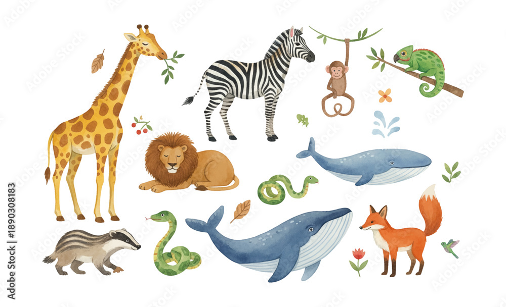 Fototapeta premium Cute wild animal collection including a giraffe zebra lion monkey whale fox and badger in watercolor