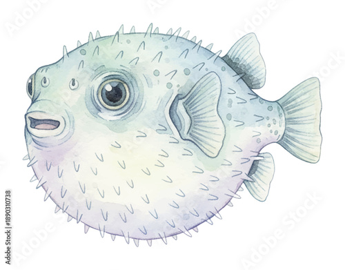 Cute light blue grey pufferfish swimming with spikes in a charming innocent watercolor illustration