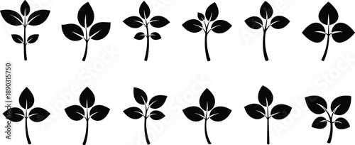 Set of black silhouette plant sprouts with leaves and stems on a white background seedling leaf