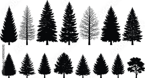 Collection of black silhouette pine trees fir trees and bare trees on white background for nature and forest themes