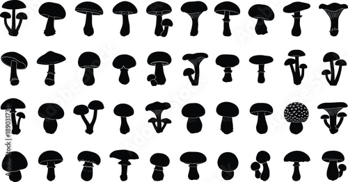 Collection of diverse mushroom silhouettes in various shapes and sizes on a white background mushrooms