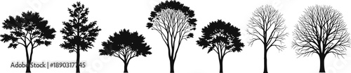 Collection of diverse tree silhouettes in black and white showing different foliage and bare branches
