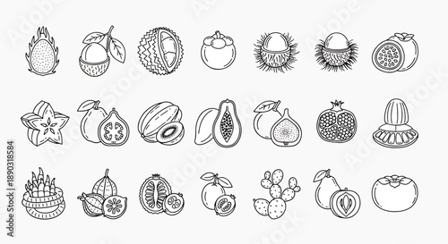 Collection of exotic tropical fruits flat icons, outline vector set of delicious and healthy food, isolated on white background