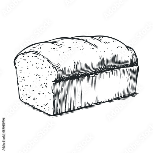 Fresh baked delicious loaf of bread depicted in a classic hand-drawn engraving style, emphasizing its rustic texture and wholesome appeal.