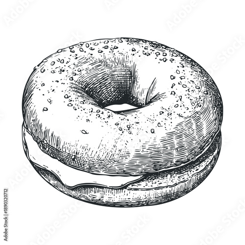 Delicious bagel with cream cheese, a classic breakfast or snack food, meticulously rendered in a detailed vintage engraving style illustration.