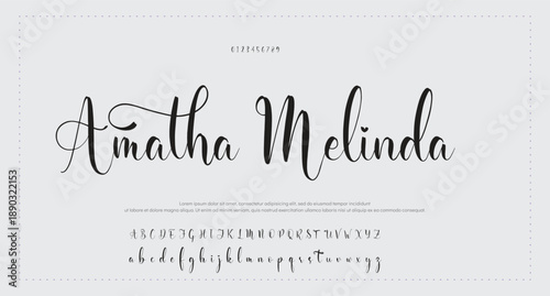 Signature Font Uppercase Lowercase And Number. Script Font Calligraphy Logotype elegant Font Type Font lettering handwritten. vector illustration