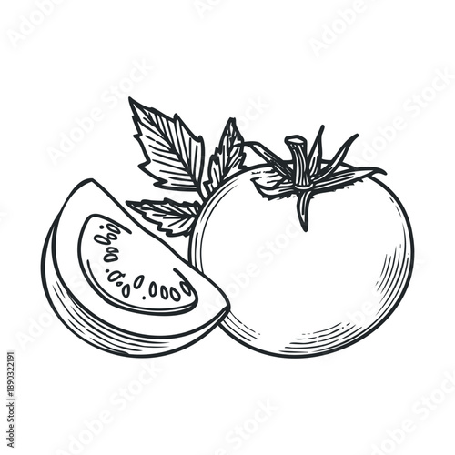 Fresh ripe organic tomatoes with a sliced piece and green leaves depicted in a detailed hand-drawn vintage engraving style illustration.