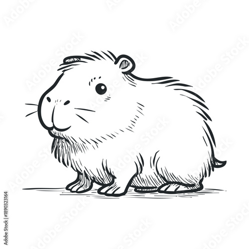 Cute guinea pig illustration with a friendly expression, rendered in a charming hand-drawn sketch style, perfect for children's books or pet-related designs.