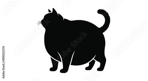 A plump black cat stands in profile a striking silhouette