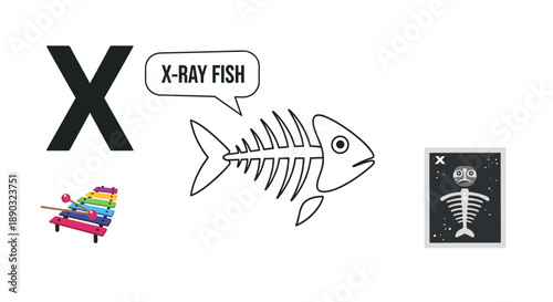 Educational illustration for letter X featuring X-ray fish a colorful xylophone and a fish bone x-ray image for preschool learning and literacy themes.