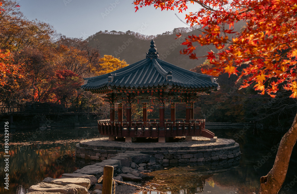 Fototapeta premium Autumn Pavilion at Naejangsan National Park, South Korea