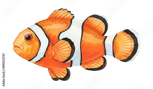 Vibrant Orange Clownfish Swimming Calmly in Watercolor Illustration with Small Bubbles