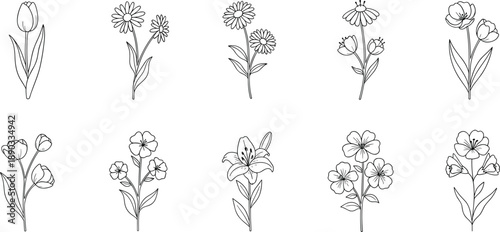 Collection of hand-drawn black and white floral illustrations featuring tulips daisies lilies and other flowers