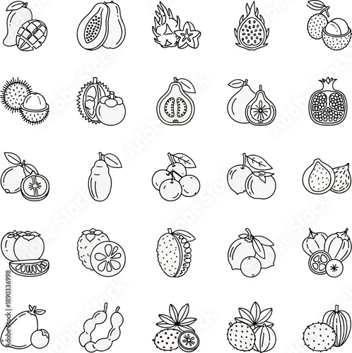 Collection of Fresh Tropical Fruits and Exotic Fruits Hand Drawn Outline Icons Set Vector Illustration
