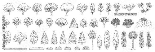Collection of hand-drawn black and white line art vector illustrations of various trees, shrubs, and bushes for architectural design or landscape projects.