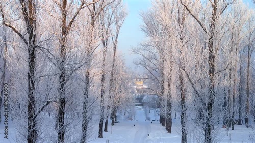 A tranquil winter scene featuring a narrow snow-covered road lined with tall trees heavily coated in white hoarfrost, leading through a silent, frozen park toward a distant village.