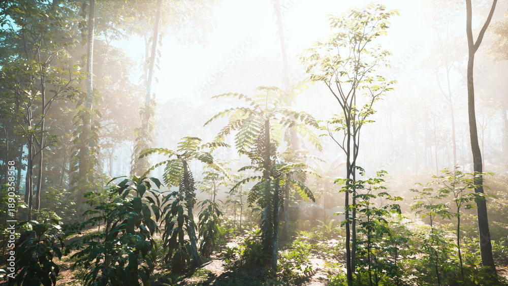 Fototapeta premium Bright sunlight shines through tall trees in a tranquil forest, casting a warm glow on the vibrant ferns and plants below. The scene captures the peaceful essence of nature.