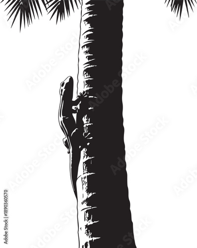 Black and white gecko climbing a textured palm tree trunk with fronds lizard de
