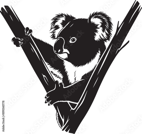 Black and white of a koala clinging to tree branches animal wildlife marsupial eucalyptus des
