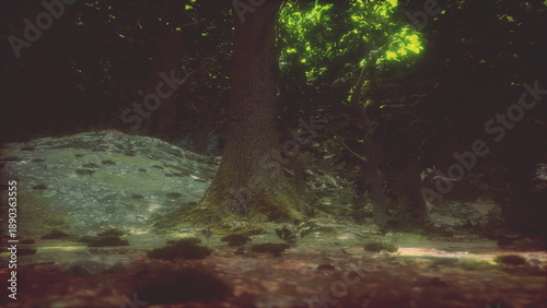 Slika na platnu Gentle rays of sunlight spill through the lush canopy, illuminating an old tree in a quiet forest