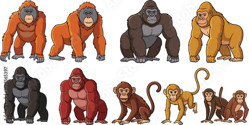 Ape and monkey cartoon vector set. Cute gorillas, orangutans, and monkeys in multiple poses. Jungle wildlife character collection, isolated on white background.