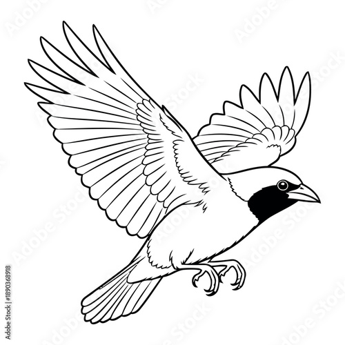 A comprehensive guide to understanding vector files in graphic design and illustration