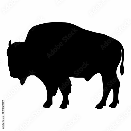 Silhouette of a majestic American bison in deep, dark black against white