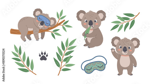 Cute koala character sleeping and eating eucalyptus leaves set