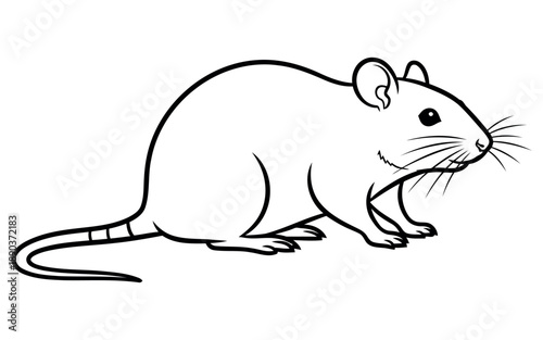 A conceptual representation highlighting the nature and format of a vector file