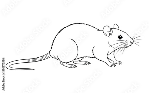 Placeholder image indicating a vector file for design, graphic, and editable asset purposes