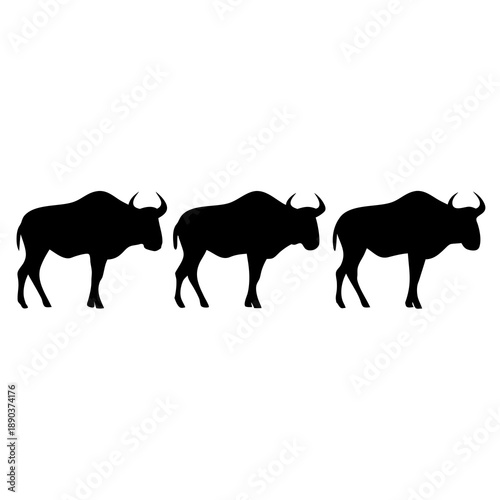 Three Wildebeest Silhouette on White Background, Wildlife and Nature Scene