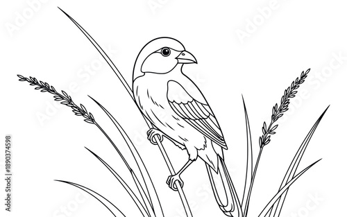 Vector file text on a clean white background illustrating graphic type