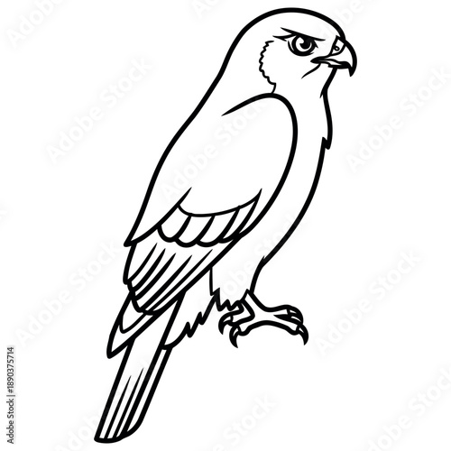 A simple graphic representing a vector file for digital design and illustration projects