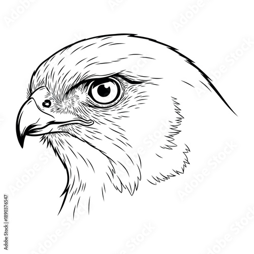 A simple graphic representing a vector file for digital design and illustration projects