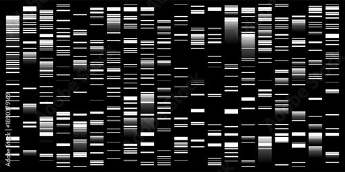 Dna sequence data map. Lab analytic electrophoresis on gel. PCR of deoxyribonucleotide parts. Gene research illustration. Virus investigation. Bw scientific bg