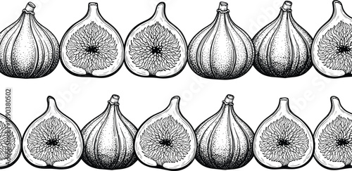 Black and White Vector Illustration Set of Whole and Sliced Figs Featuring Hand Drawn Botanical Fruit and Seamless Horizontal Border Patterns for Organic Food Packaging and Label Design