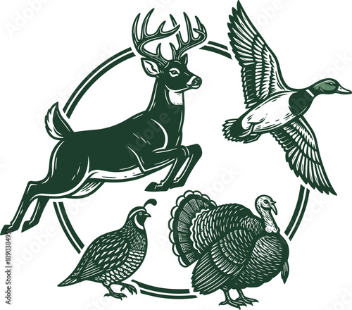 Vintage style hunting vector set featuring jumping deer mallard duck wild turkey and quail for outdoor sports and nature illustration
