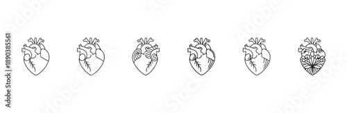 Line art anatomical heart icons set with various creative internal organic and floral decorations