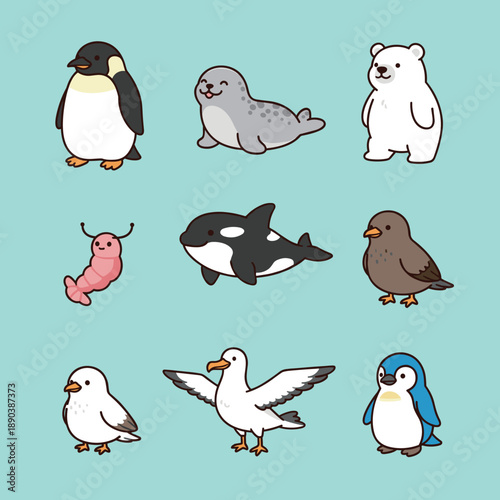 Arctic and Antarctic Animal Character Collection with Polar Bear Penguin Seal Whale and Sea Birds in Cute Flat Vector Style for Kids Education