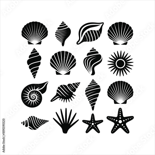 A diverse set of solid black silhouettes featuring various seashells and starfish from the ocean