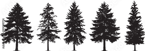 Set of five evergreen tree silhouettes in a row