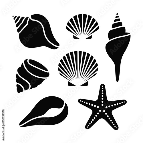 Black silhouettes of various sea shells and a single starfish on a plain white surface