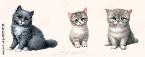 A cute watercolor vector set of kittens in various poses, all with big round eyes and fluffy fur. Perfect for children’s designs, books, prints, and baby-themed projects.