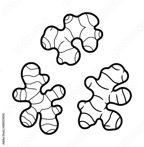 Stylized ginger roots with thick black outlines and internal details a white background spice