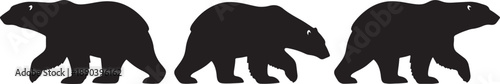 Three black bear silhouettes walking in a row on a white background also transparent background