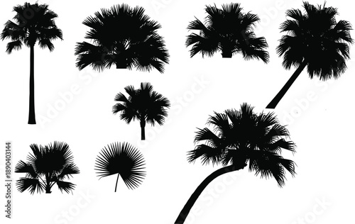 Set of black palm tree silhouettes tropical nature illustration