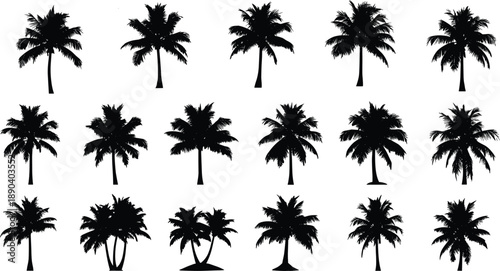 Palm Tree Silhouette Vector Illustration Tropical Nature Pattern